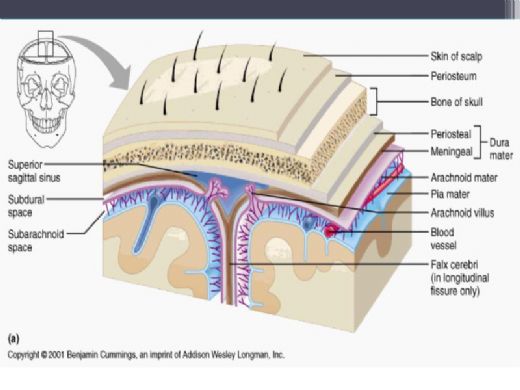 Epidural Aralk